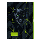 Dosky s gumou A3,Puma